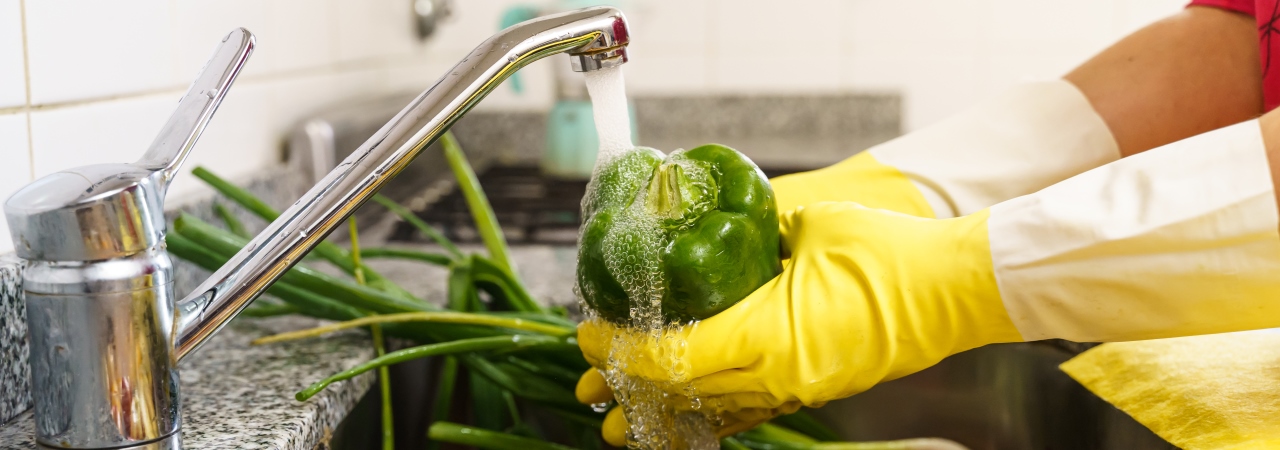 MANIPULACIÓN DE ALIMENTOS E HIGIENE ALIMENTARIA